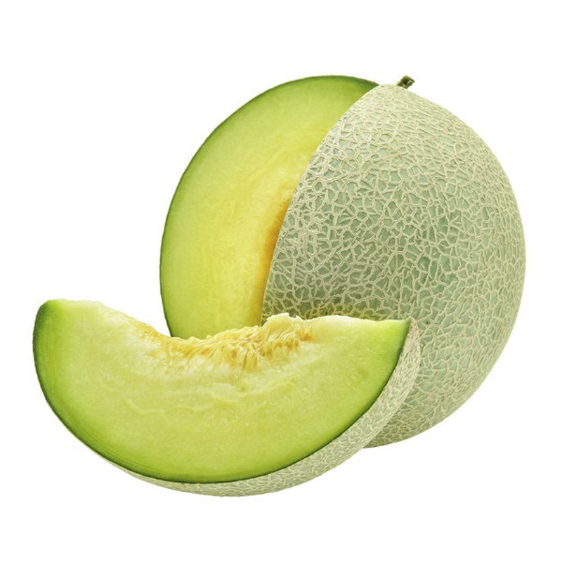 Melon Hijau madu 20 biji bibit seed Benih Bibit Tanaman Daging Tebal Unggul