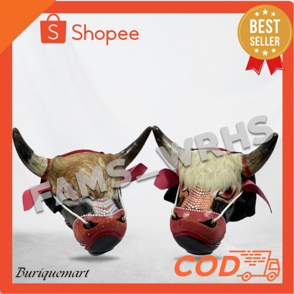 Siap Kirim  Bantengan Pentas Sungu Asli Dewasa Berkualitas Kokoh COD