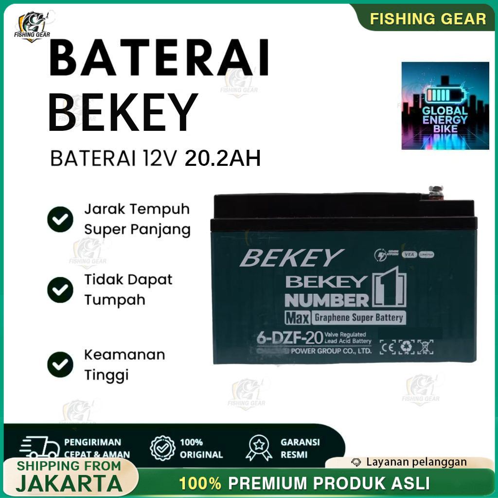 BATERAI SEPEDA LISTRIK AKI BATERAI MOBIL MOTOR LISTRIK SELIS EVB 6-DZF-20 12v 20ah DEEP CYCLE