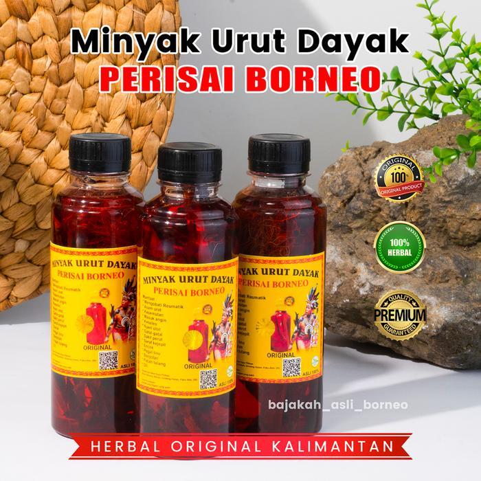 Minyak Urut Dayak Asli Kalimantan ( Original )