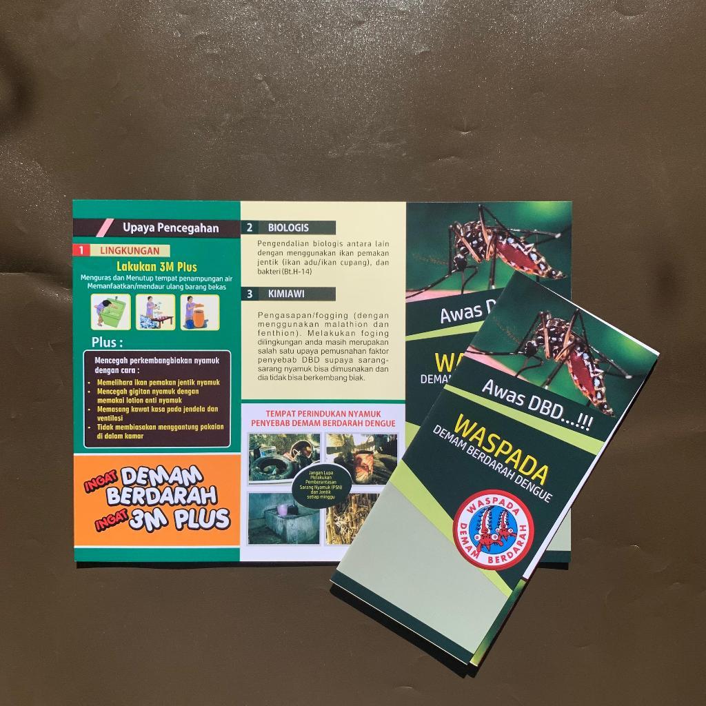 Brosur Kesehatan | Leaflet Waspada Demam Berdarah Dengue|Penyakit DBD | Mengenal dan Mencegah DBD