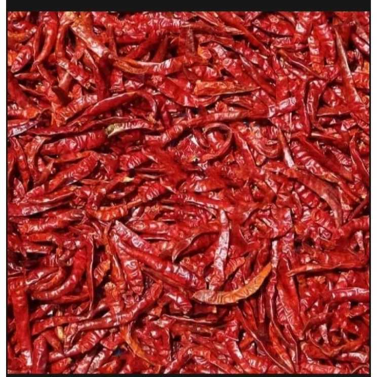 Cabe Rawit Teja Kering Super Pedas 1kg//COD