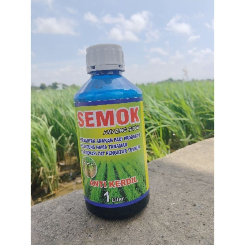 SEMOK amazing grow ( D ) plus zpt