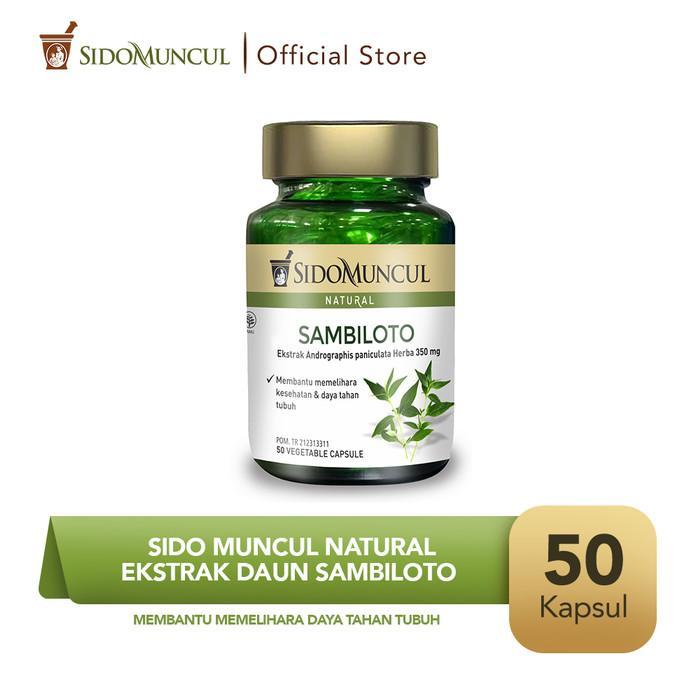 Sido Muncul Natural Ekstrak Daun Sambiloto 50 Kapsul