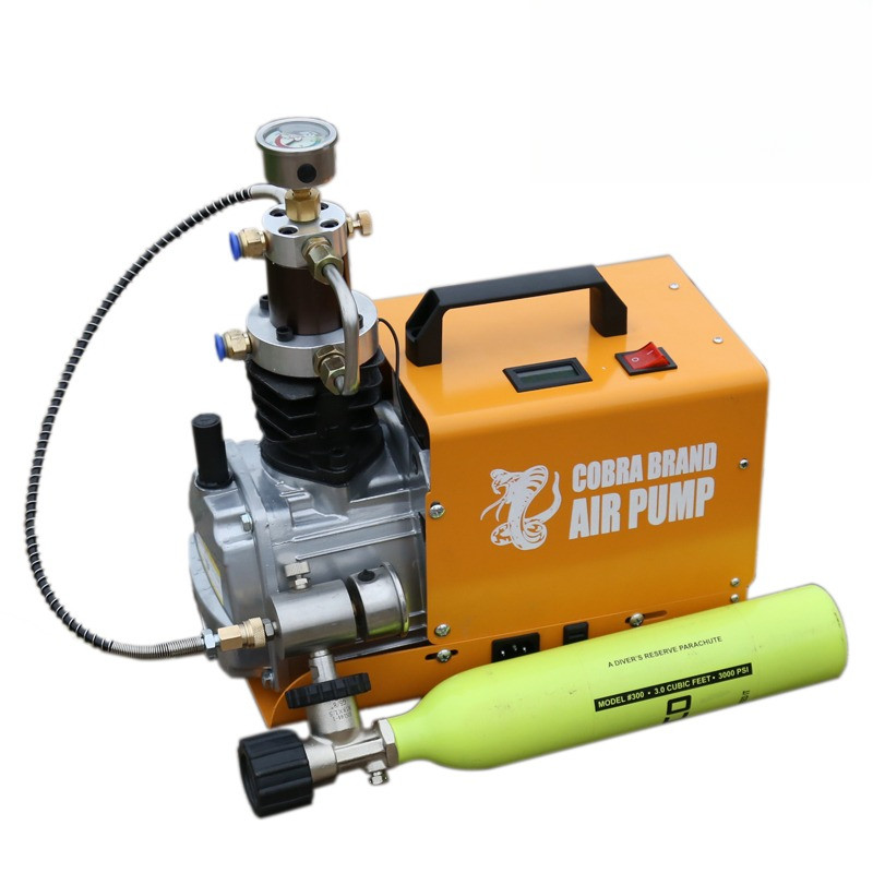 4500Psi 300Bar 30MPA  220V 110V Pcp Air Compressor Electric High Pressure Pump for Pneumatic PCP Rif