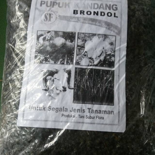 Pupuk tai kambing murni