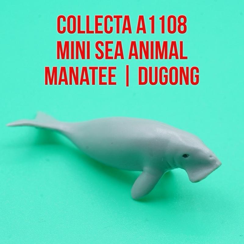 Collecta A1108 Mini Sea Animals | Manatee Lembu Laut Dugong Sapi Laut Trichechus | Small Size Ukuran