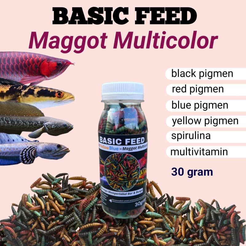 maggot multicolor varian mix red yellow blue black 30gram pakan ikan channa yellow sentarum red bari