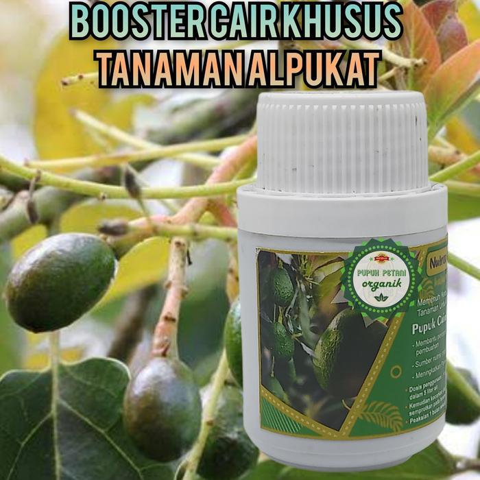 promo pupuk booster buah alpukat organik cair khusus tanaman alpukat
