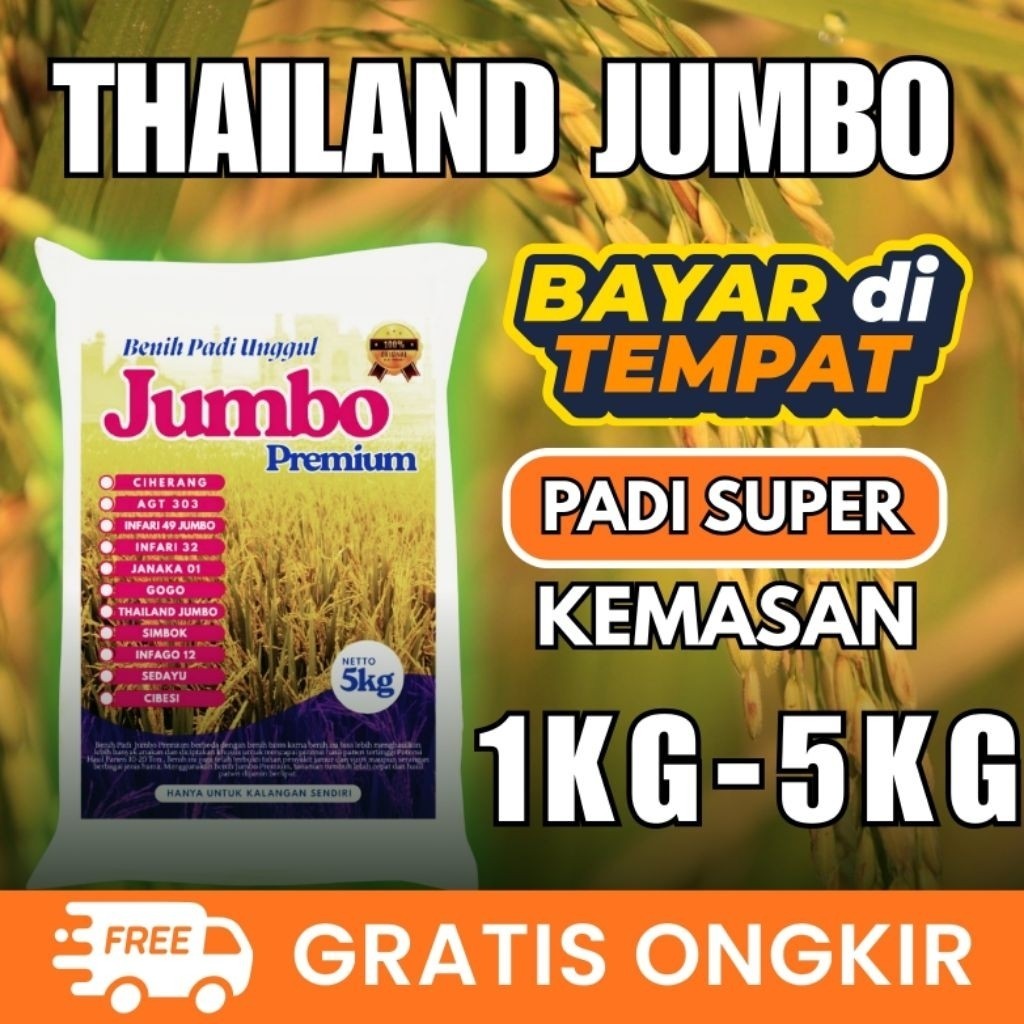 PADI UNGGUL THAILAND JUMBO 1 KG - 5 kg PREMIUM Benih padi Thailand Jumbo  kemasan 5 kg
