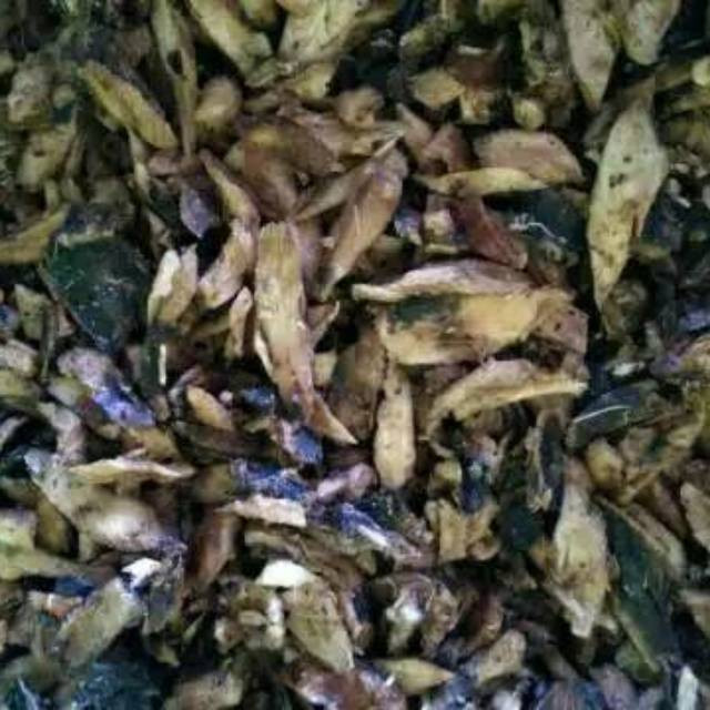 Gatot singkong mentah 1 Kg / makanan tradisional gatot