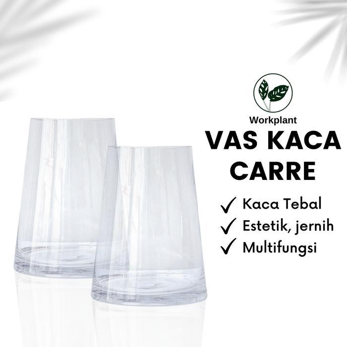 Vas Kaca Carre - Vas Bunga Aesthetic Pot Bunga Tanaman Hias Hidroponik
