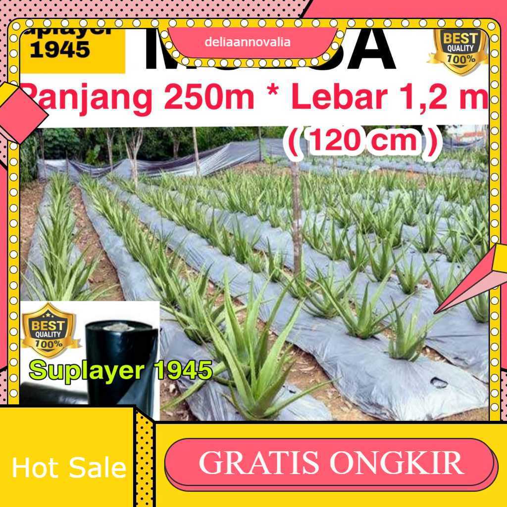 Plastik MULSA 1 ROLL hitam/perak ( Panjang 250 meter x Lebar 1,2 meter ) ROLL