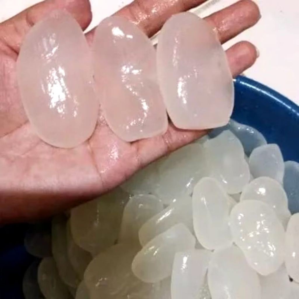 Kolang Kaling Fresh Jumbo 1kg - Kolang Kaling Fresh