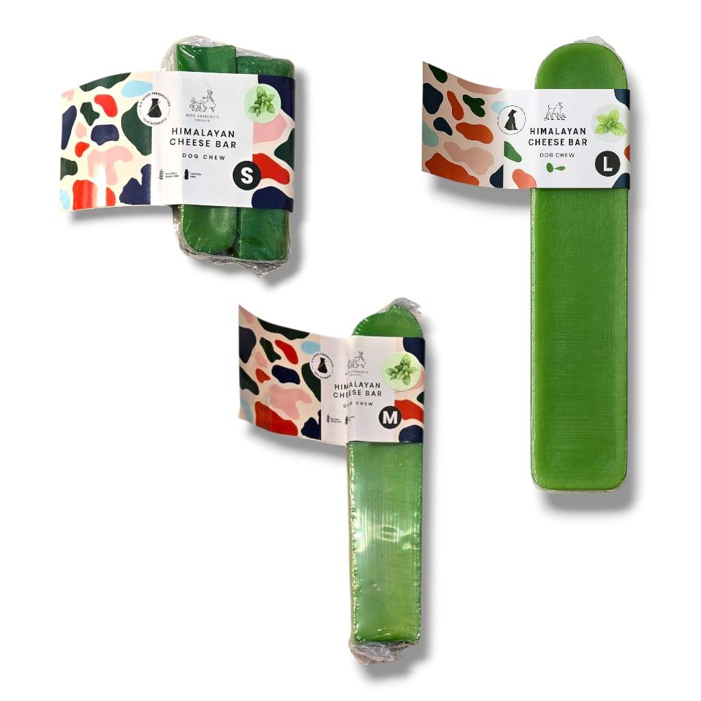 Miss Shirley's Choice MINT Flavour Churpi Stick Himalayan Cheese Bar Himalaya Yak Milk Dog Chew Trea