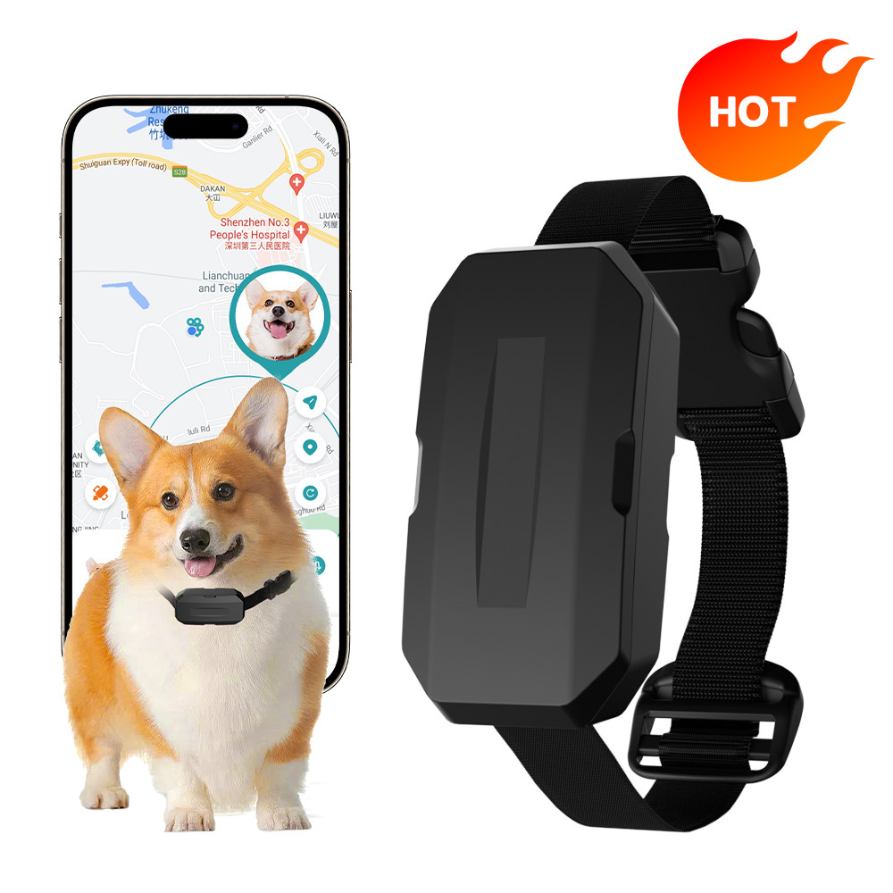 Animal GPS WiFi 4G  Dog Tracker Locator Collar Rastreador Pet Gps Tracker Collar