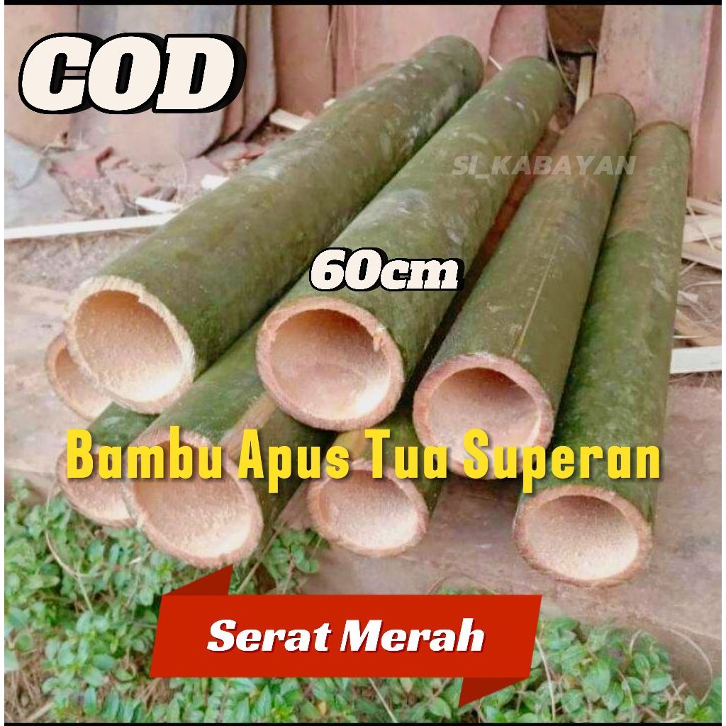 1 Ruas Bambu Tua Superan Panjang 60cm Bambu Apus Tua Superan Serat Merah Arku  Bahan Layangan Seot