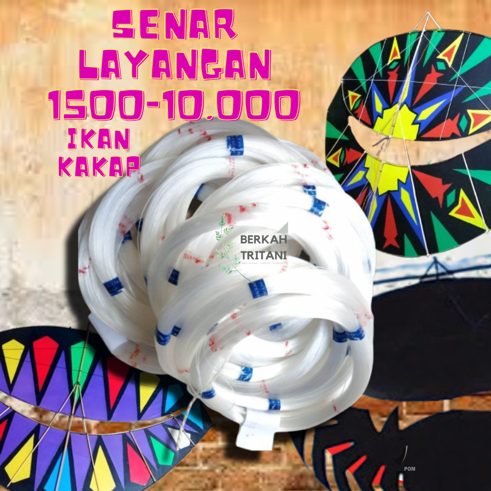 SENAR LAYANGAN CAP IKAN KAKAP UKURAN 1500-10.000 BESARR