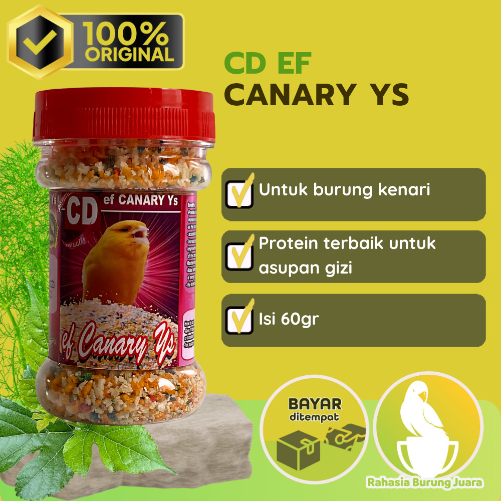 CD ef Canary Pakan burung Kenari Untuk meningkatkan stamina dan imun Tubuh Burung