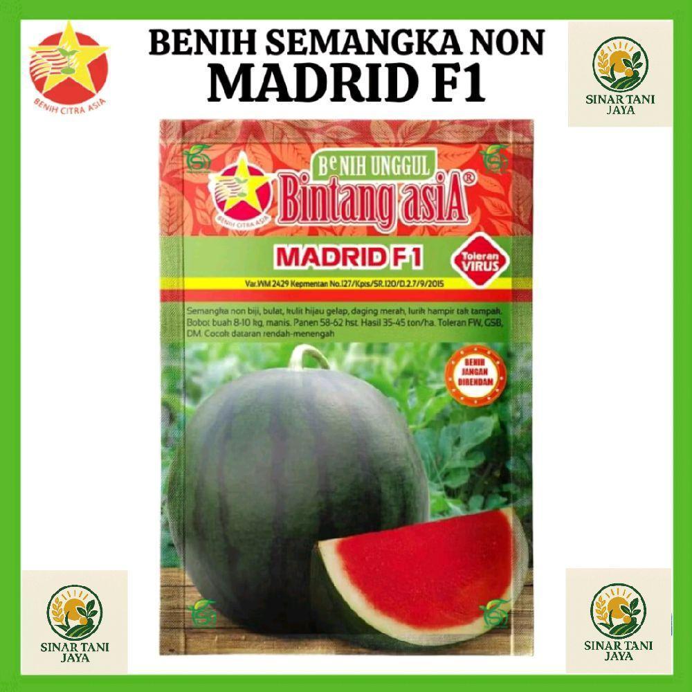 TERMURAH 50 biji benih Semangka Non Biji Madrid F1 repack