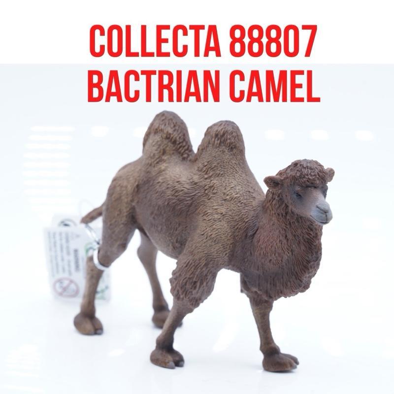 Collecta 88897 Bactrian Camel Unta Baktria Unta Berpunuk Dua  Camelus Bactrianus | Mainan Binatang M