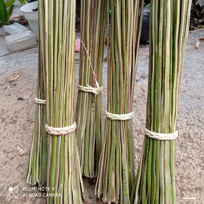 sapu lidi aren asli dari lidi daun pohon aren