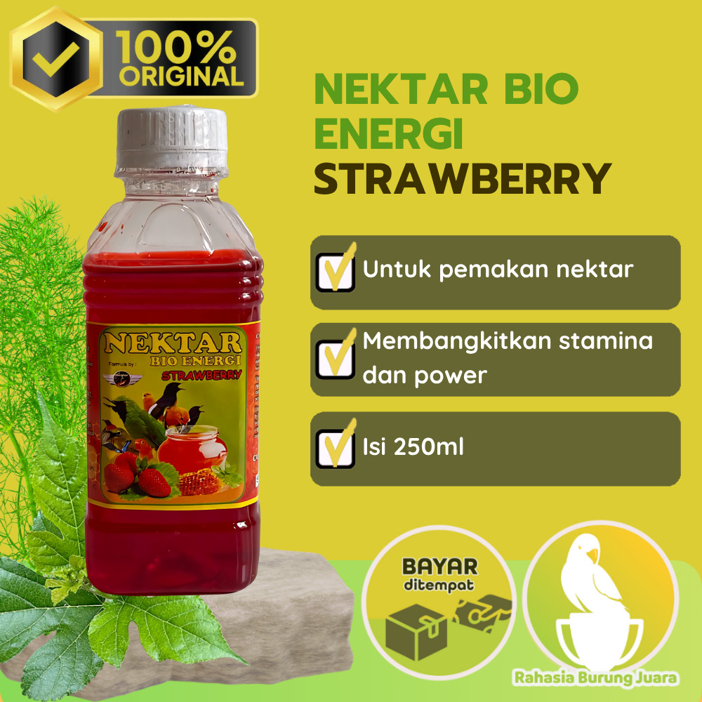 Nektar BIO Energi Strawberry Vitamin Burung Minuman Energi untuk Pleci Nektar Burung Pakan Pleci