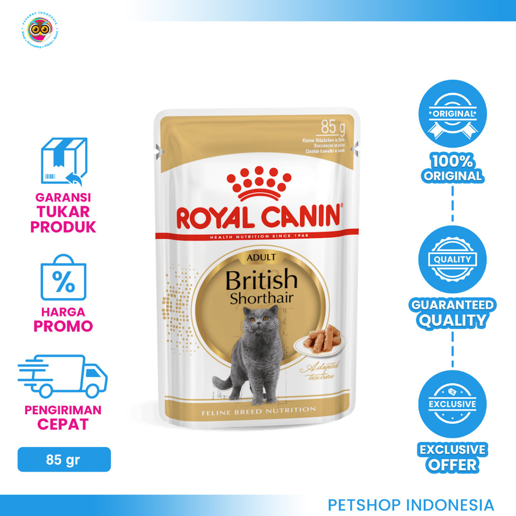 Royal Canin British Shorthair Adult 85gr Wet Cat Food - Makanan Kucing Dewasa