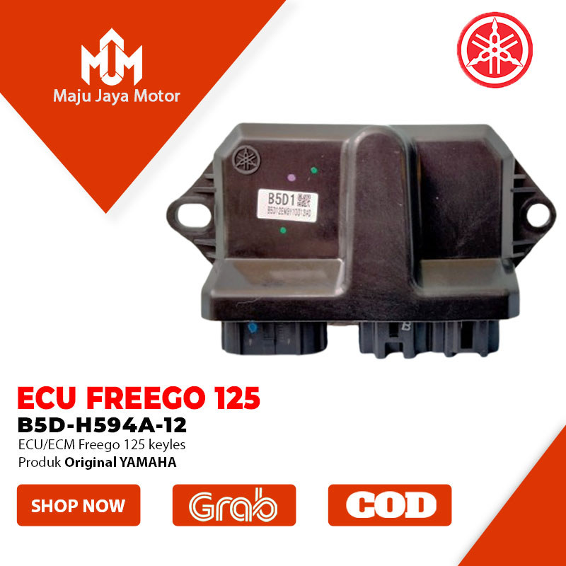 ECU ECM CDI SGCU Freego 125 Keyless B5D1 Original YAMAHA