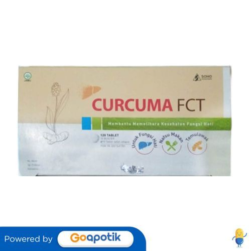 Curcuma Fct Box 120 Tablet