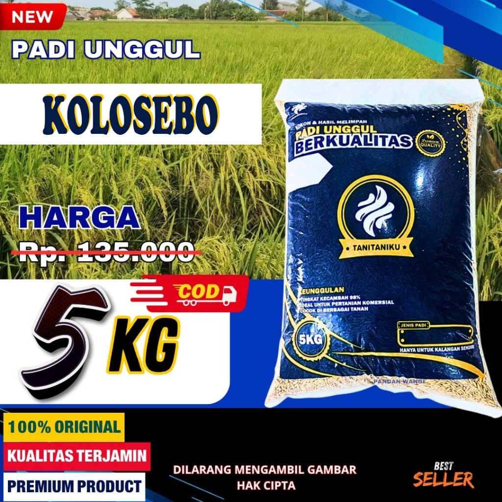 PadiNusa - Bibit Padi Unggul Kolosebo 5kg