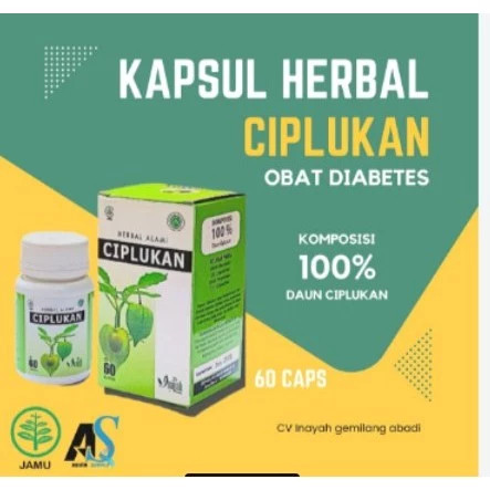 Kapsul Ekstrak Ciplukan Stroke Nyeri Sendi Bronkitis Rematik |28