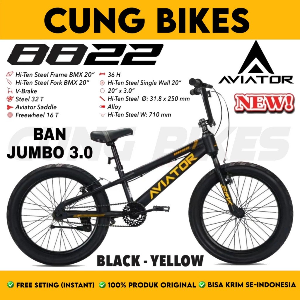 Sepeda Anak Laki BMX Ukuran 20 Inch AVIATOR 8822 Ban Jumbo 3.0