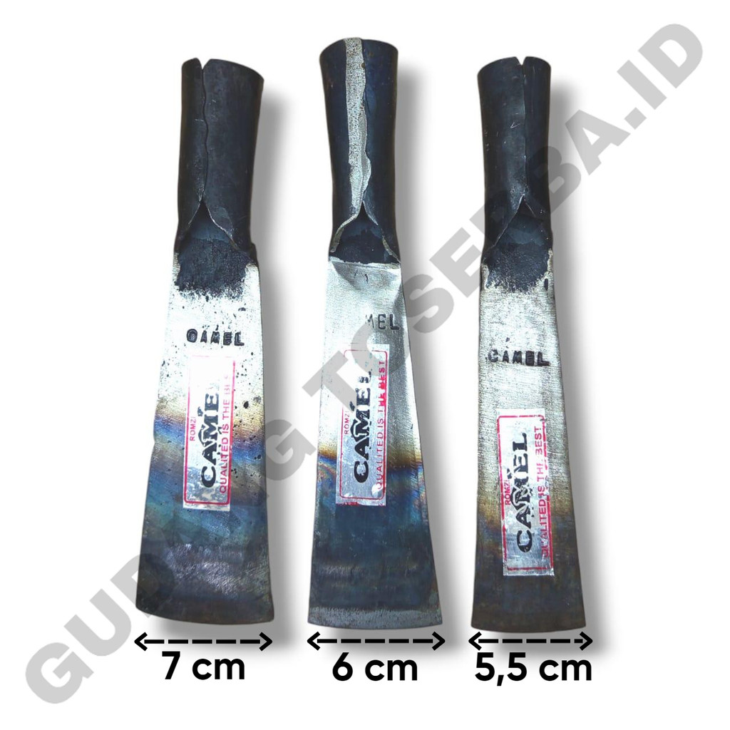 DODOS SAWIT BUAH PASIR CAMEL BAJA PER ASLI