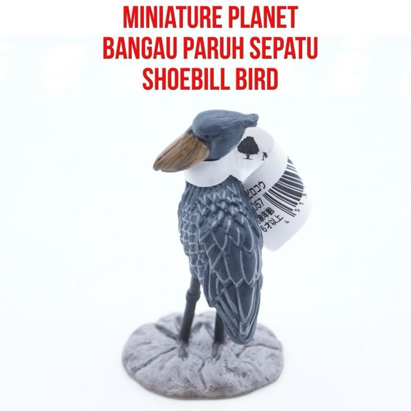 Miniature Planet | Shoebill Bird Burung Bangau Paruh Sepatu Burung Raksasa Balaeniceps Rex | Small S