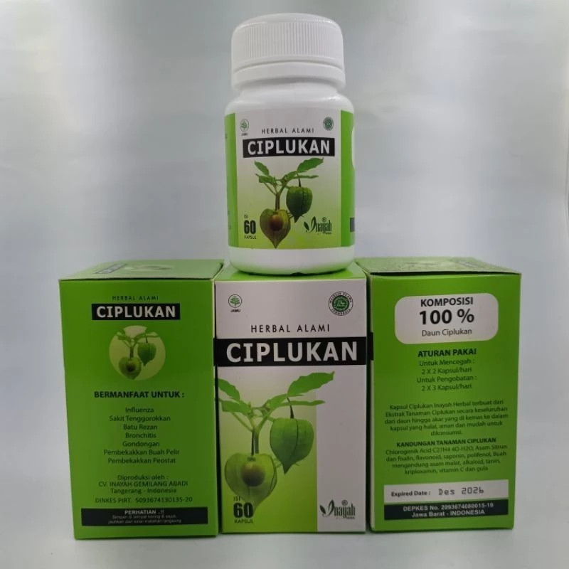 Kapsul Daun Ciplukan Inayah Herbal Alami isi 60 / Ciplukan Herbal |03