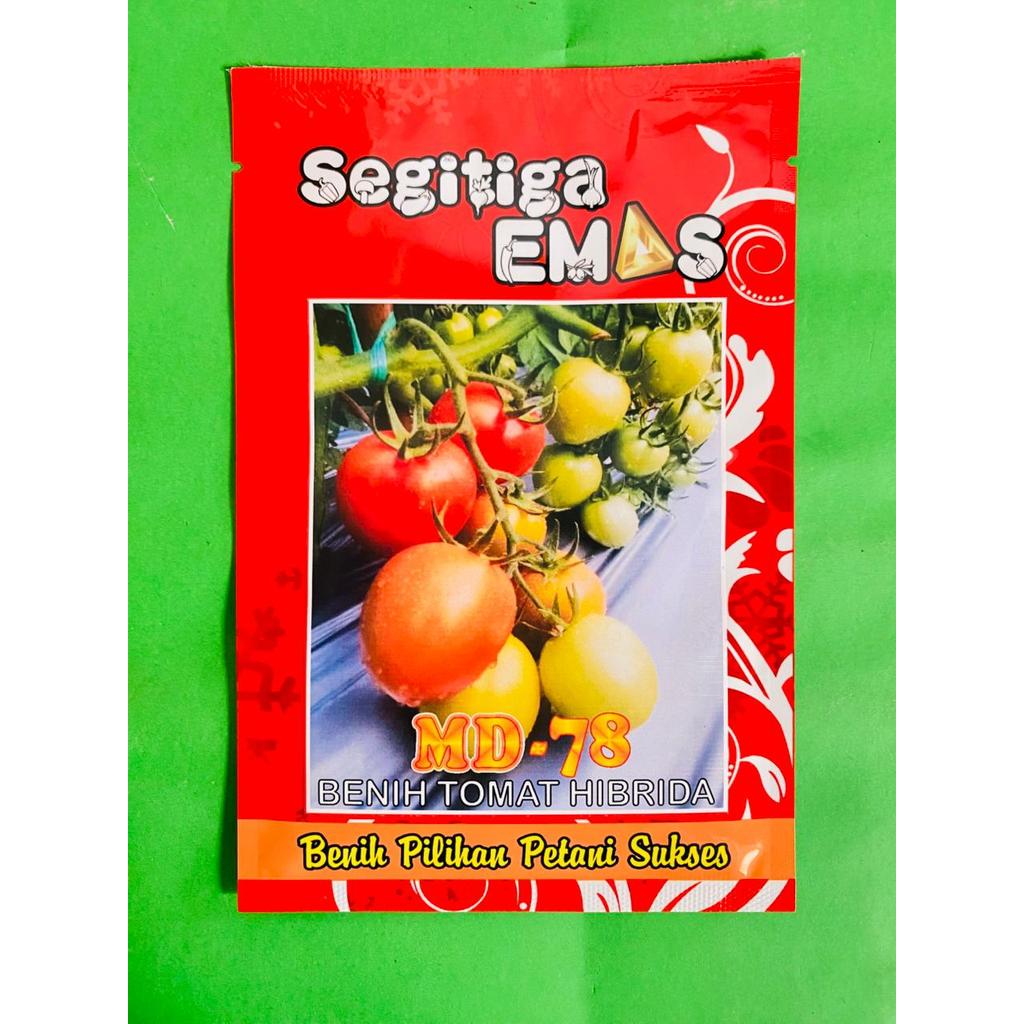 Benih Tomat Hibrida MD-78 isi 5gr dari Segitiga Emas