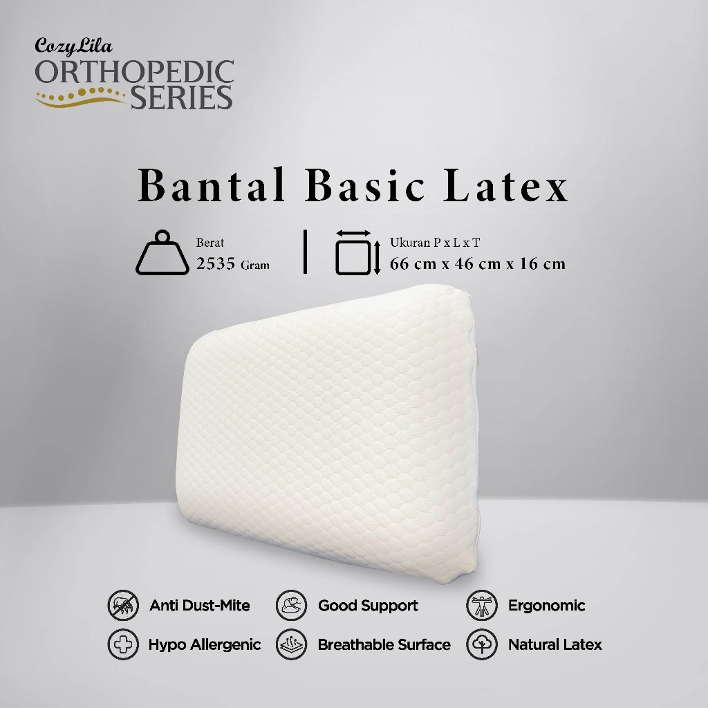 Bantal Orthopedic Bsc Latex