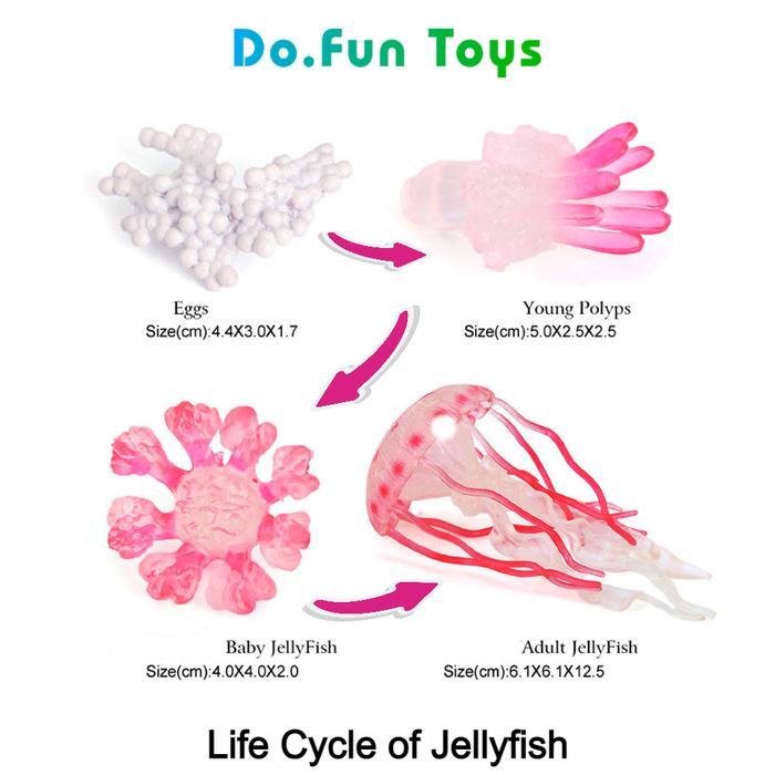 "TNKSYU" - Animal Figure Life Cycle of Jellyfish / Siklus Hidup Ubur - Ubur Mainan