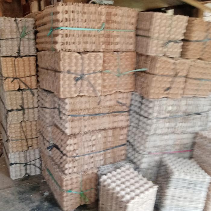 RNS egg tray second tempat telur karton bekas 1 bal/50 lembar