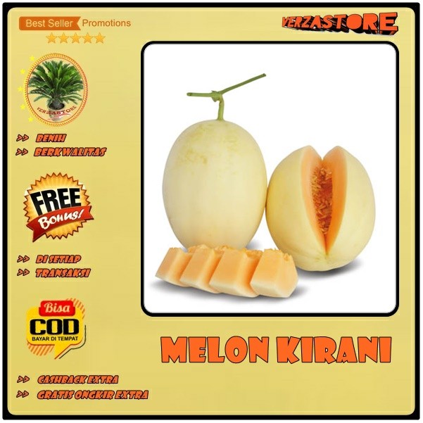 premium quality biji/benih/bibit buah melon white kirani /30 biji