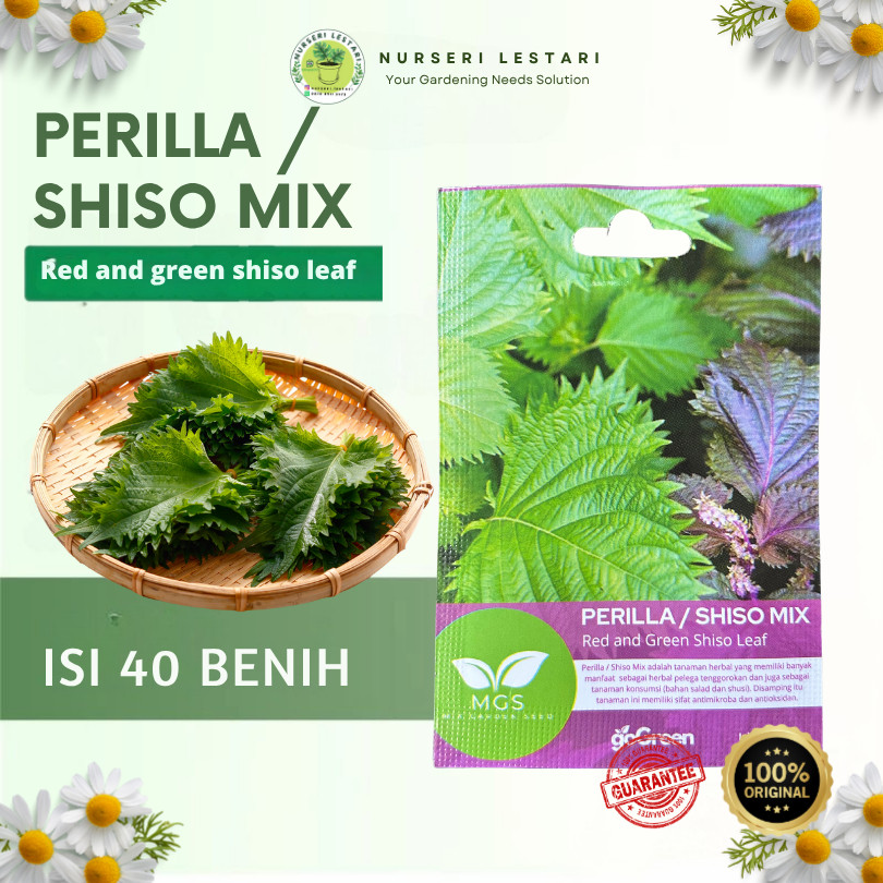 Benih Biji Bibit Unggulan Herbal Perillo Shiso Red and Green Leaf Premium MIX GARDEN SEED MGS Garans