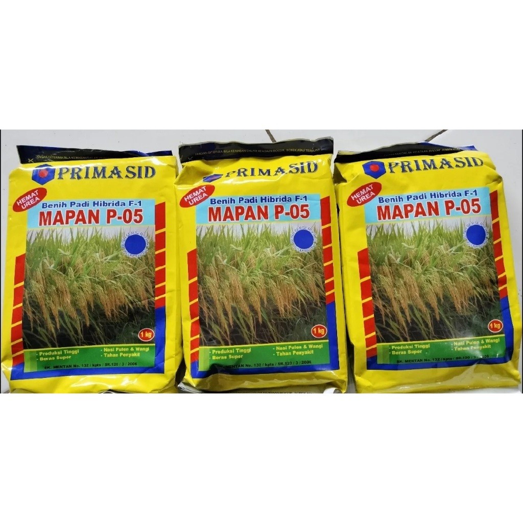 Benih PadiHibrida Mapan p-05 exp bulan 04&05 2026 Oringinal 100% daya tumbuh 80%