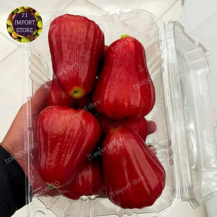 Jambu Air Merah King Rose Super | Buah Jambu Air Merah Manis | 1 Kg