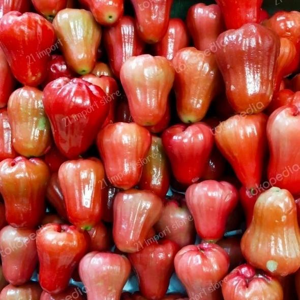 Jambu Air Merah  Super | Jambu Merah Cincalo  Premium Manis  | 1 kg