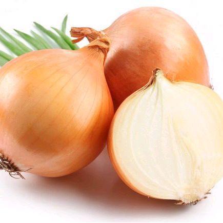 Bawang Bombay 0,5 KG/ 500 gram kwalitas super Kecombrang Putih