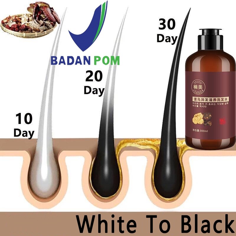 shampoo penghitam rambut uban/shampo penghitam rambut uban/penghitam rambut/shampoo penghitam rambut