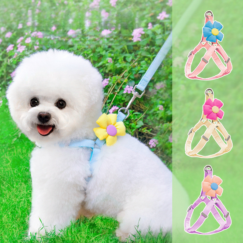 [Pet Wardrobe]Tali Kekang Anjing Rantai Jalan Anjing Anjing Kecil Harness Dada Hewan Peliharaan Lucu