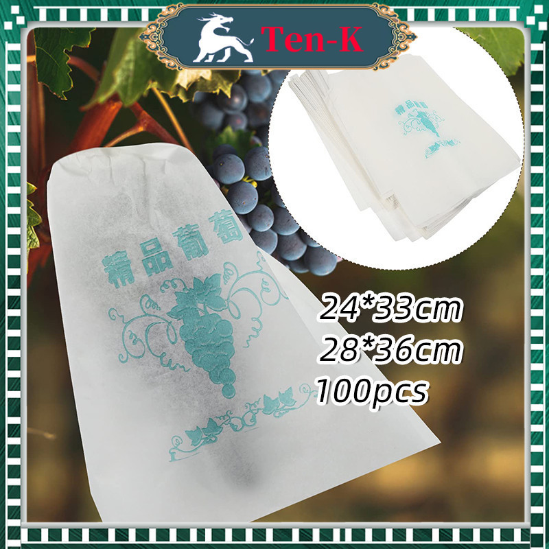100Pcs Pembungkus Pelindung Buah / Fruit Cover Anti Serangga / Fruit Bag Transparan