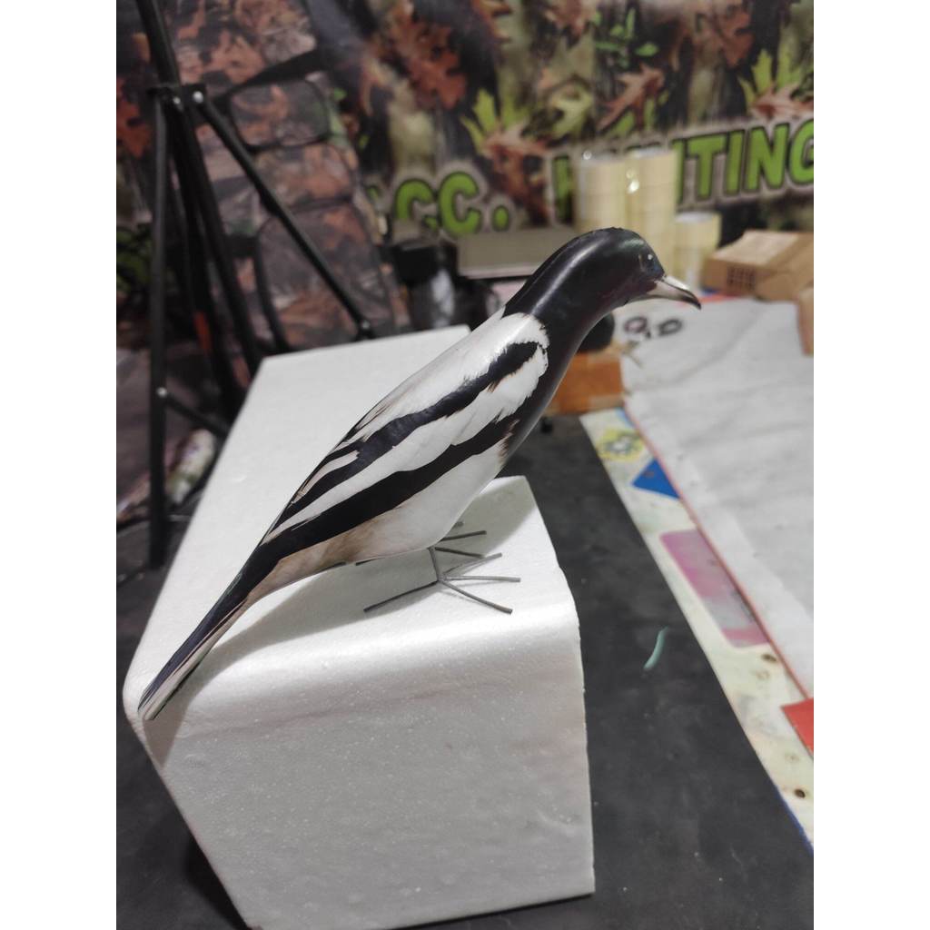 patung burung jagal papua/ jontrot manuk langka mirip asli